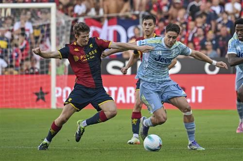 What's a Bingo Game?