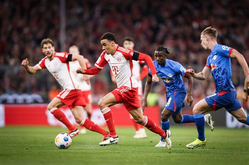 Bob Casino 11: Ultimate Guide and Review